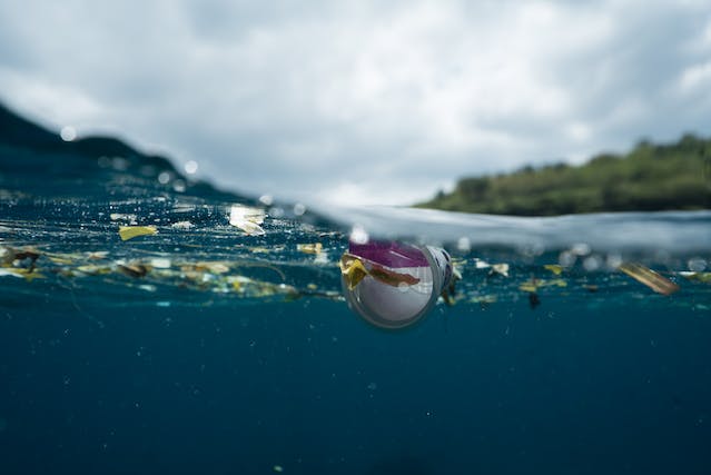 inquinamento rifiuti in mare 
