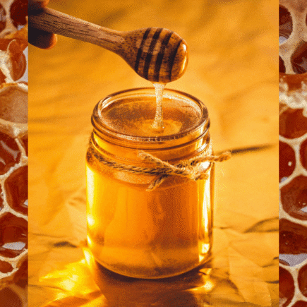 Proprietà curative del miele 🍯: il segreto dell’ailanto